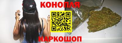 прущие грибы Будённовск