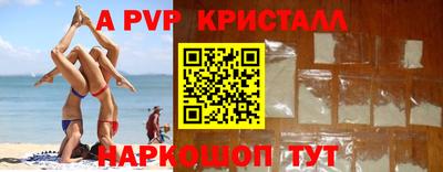 прущие грибы Будённовск